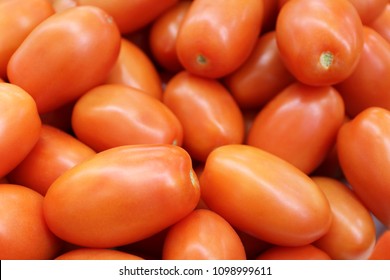 Roma Tomato. Italian Plum Tomato