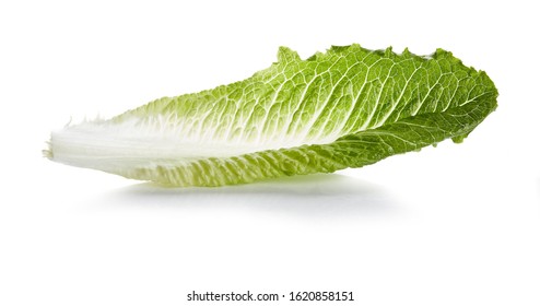 Romaine Hearts Isolated On White