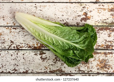 Romaine Lettuce