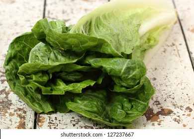 Romaine Lettuce