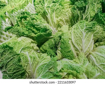 Romaine Lettuce Hearts . Organic Vegetables For Health.