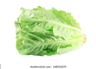 Romaine Lettuce Isolated