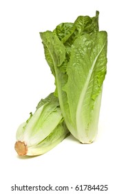 Romaine lettuce from low perspective isolated on white.