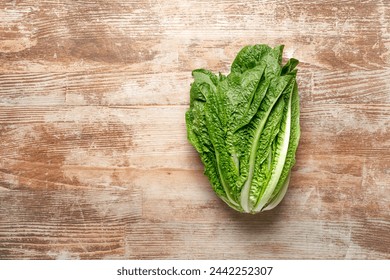 Romaine lettuce, top down view - Powered by Shutterstock