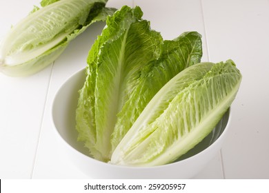 Romaine Lettuce In A White Bowl On White Background