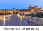 Roman Bridge in Cordoba at night, Spain