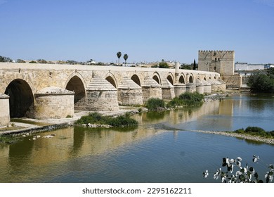 Roman bridge and Torre de Calahorra in Cordoba,Spain                