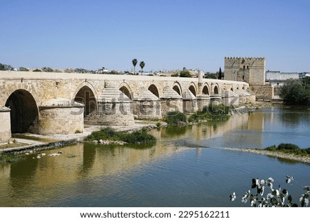 Roman bridge and Torre de Calahorra in Cordoba,Spain                