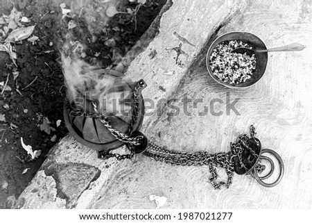 Similar – Image, Stock Photo froggy Animal Amphibian