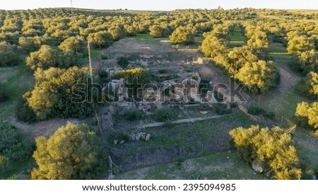 The Roman city of Arva located in Alcolea del Rio in Andalucia, Spain