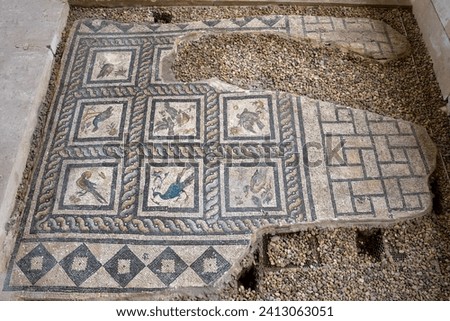 Roman Mosaics on the floor in a building near the Roman amphitheater of Alexandria