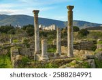 Roman ruins of the ancient city of Hippo, Annaba, Algeria