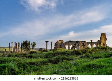 Roman ruins, lush green landscape, old Roman city of Volubilis. Best-preserved Roman ruins located between the Imperial Cities of Fez and Meknes on a fertile plain surrounded by wheat fields.