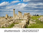 The Roman ruins of Madaure, Souk Ahras, Algeria