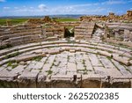 The Roman ruins of Madaure, Souk Ahras, Algeria