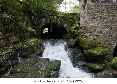 A Roman stone bridge stands in a bucolic setting, with a waterway flowing beneath it, surrounded by lush greenery and mosses on every side.                  - Powered by Shutterstock