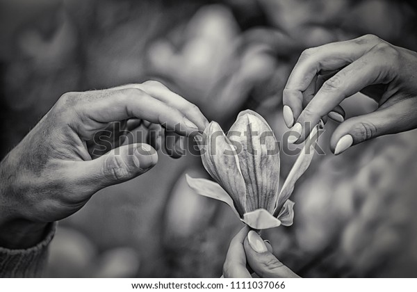 Harrisburg over 50 dating meeting someone over 50 Harrisburg over 50 dating meeting someone over 50