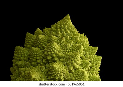 Romanesco (Brassica oleracea)