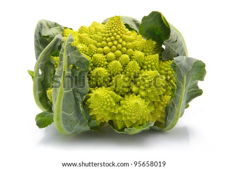Romanesco broccoli cabbage (or Roman Cauliflower) isolated on white background