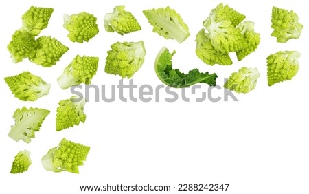 Romanesco broccoli cabbage or Roman Cauliflower isolated on white background . Top view with copy space for your text. Flat lay