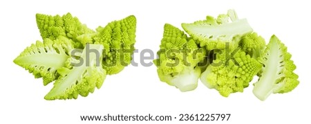 Romanesco broccoli cabbage or Roman Cauliflower isolated on white background with full depth of field