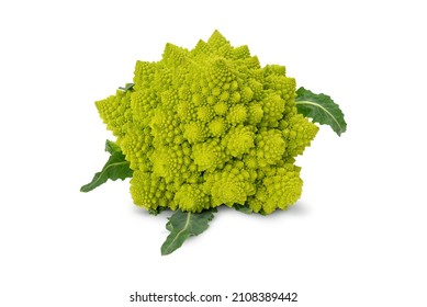 Romanesco broccoli, or Roman cauliflower. BIO vegetables isolated on white.