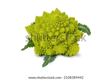 Romanesco broccoli, or Roman cauliflower. BIO vegetables isolated on white.