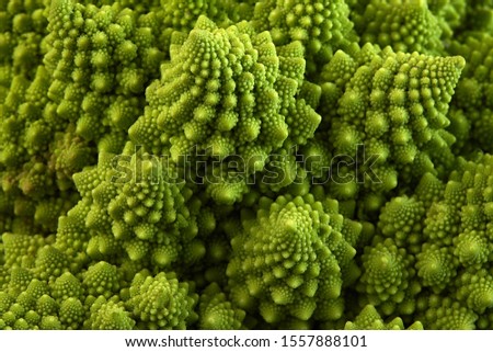 Romanesco broccoli or Roman cauliflower, close up shot from above, texture detail of the healthy vegetable Brassica oleracea, a variation of cauliflower.  macro photo.