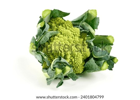 Romanesco broccoli, or Roman cauliflower, isolated on white background