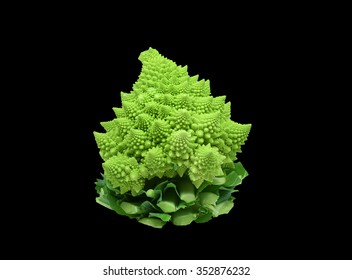 Romanesco broccoli. Roman cauliflower. Romanesque cauliflower isolated on black background. This clipping path.