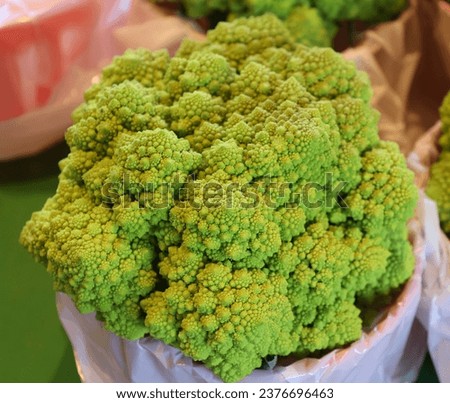 Romanesco broccoli or Roman cauliflower. This ancient Italian heirloom boasts unique chartreuse pointed spiral florets.