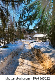 Romania Poiana Brasov Winter Story