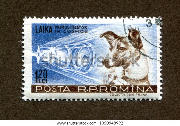 Romania stamp no circa date: a stamp printed in\
Romania shows The animal astronaut, a dog named Laika, The first\
space travel.