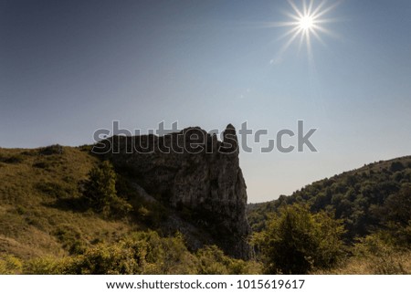 Similar – Image, Stock Photo ray of hope trees Shadow