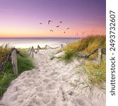 romantic beach access threw sandy dunes at Baltic Sea                               