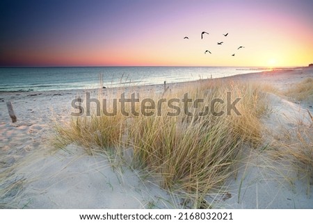 romantic beach at baltic sea in sunrise