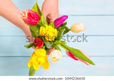 Romantic concept. Close up of colorful tulip flowers in female hands against light blue wooden background. Colorful and fresh flower bouquet. Mothersday concept.