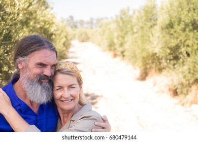 Romantic couple embracing each other in olive farm on a sunny day - Powered by Shutterstock