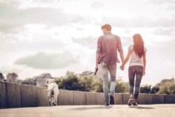Romantic Couple Is On A Walk In The City With Their Dog Labrador. Beautiful Young Woman And Handsome Man Are Having Fun Outdoors With Golden Retriever Labrador.