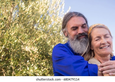 Romantic couple standing in olive farm on a sunny day - Powered by Shutterstock