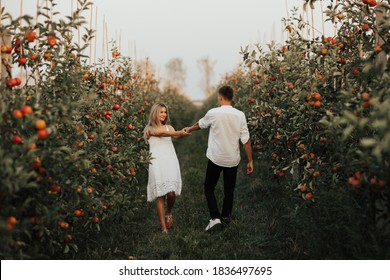 Romantic couple walks in the apple orchard in summer and holding hands. The concept of a together holiday. 