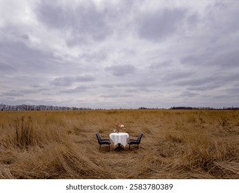 romantic date in nature. restaurant in the field.dinner in the wild. table with white tablecloth, chairs, glasses of wine, flowers and candles. without people 