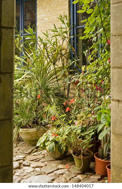 Romantic English Cottage Garden Plants Pots Stock Photo Edit Now