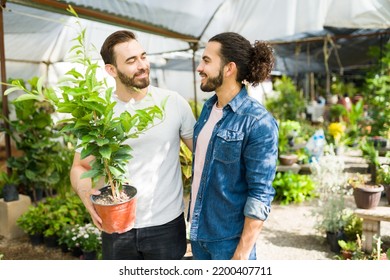 Romantic Gay Couple Looking Happy Choosing And Buying New Green Plants For Their Home At The Nursery Garden 