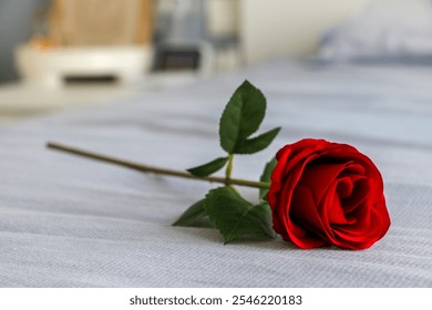 Romantic gesture and symbol of love, passion and Valentine’s Day - a beautiful vivid red rose placed on blue bed for someone special - Powered by Shutterstock