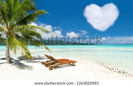 Similar – Image, Stock Photo two palms