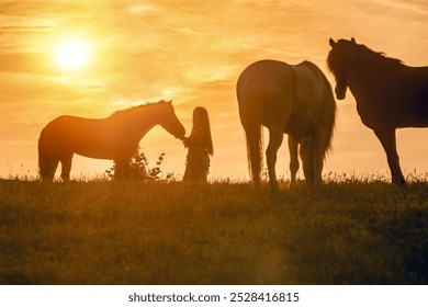 Romantic horsemanship portrait: A woman and her icelandic horse interacting together on a meadow during sunrise in summer outdoors - Powered by Shutterstock