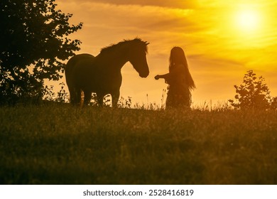 Romantic horsemanship portrait: A woman and her icelandic horse interacting together on a meadow during sunrise in summer outdoors - Powered by Shutterstock