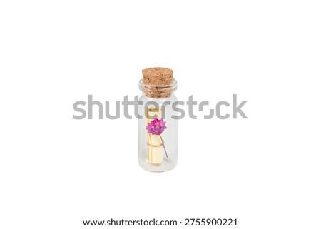 Romantic Message Bottle with Scroll and Flower on Clean Background
