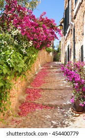 Romantic narrow street with blooming bougainvillea flowers on the island of Majorca in Spain